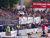 Pauli vs HSV2 05-06 006